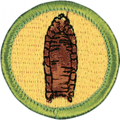Scouting America Archaeology merit badge